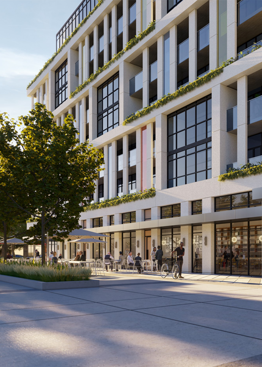 181E TEXT IMAGE SECTION