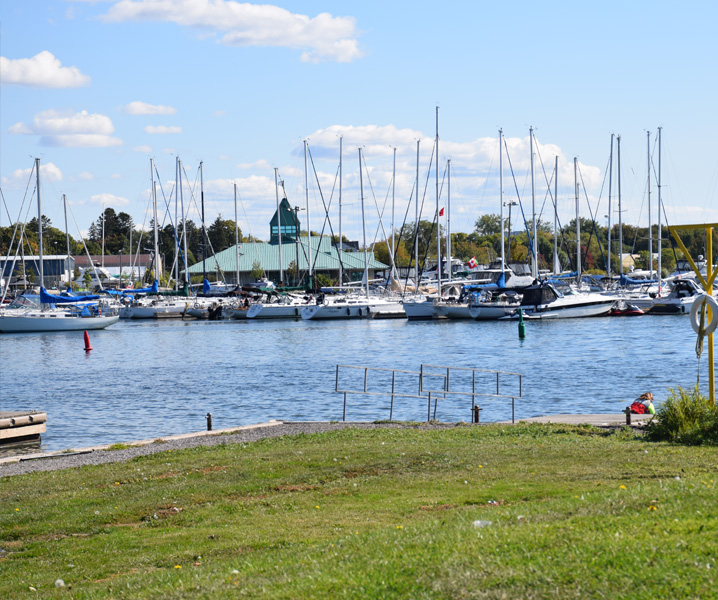 HG Great for Families