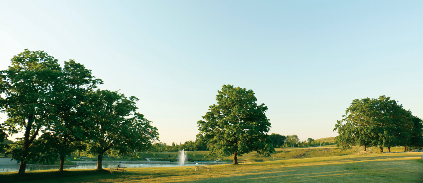 DP Hero img 1440 by 900 px02