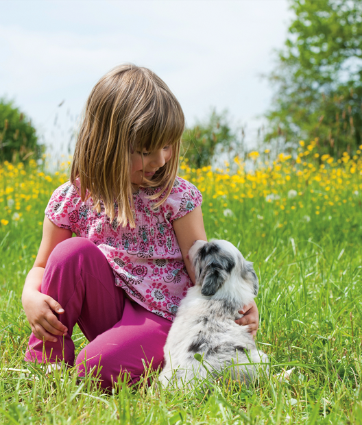 Downsview Park – The Reserve