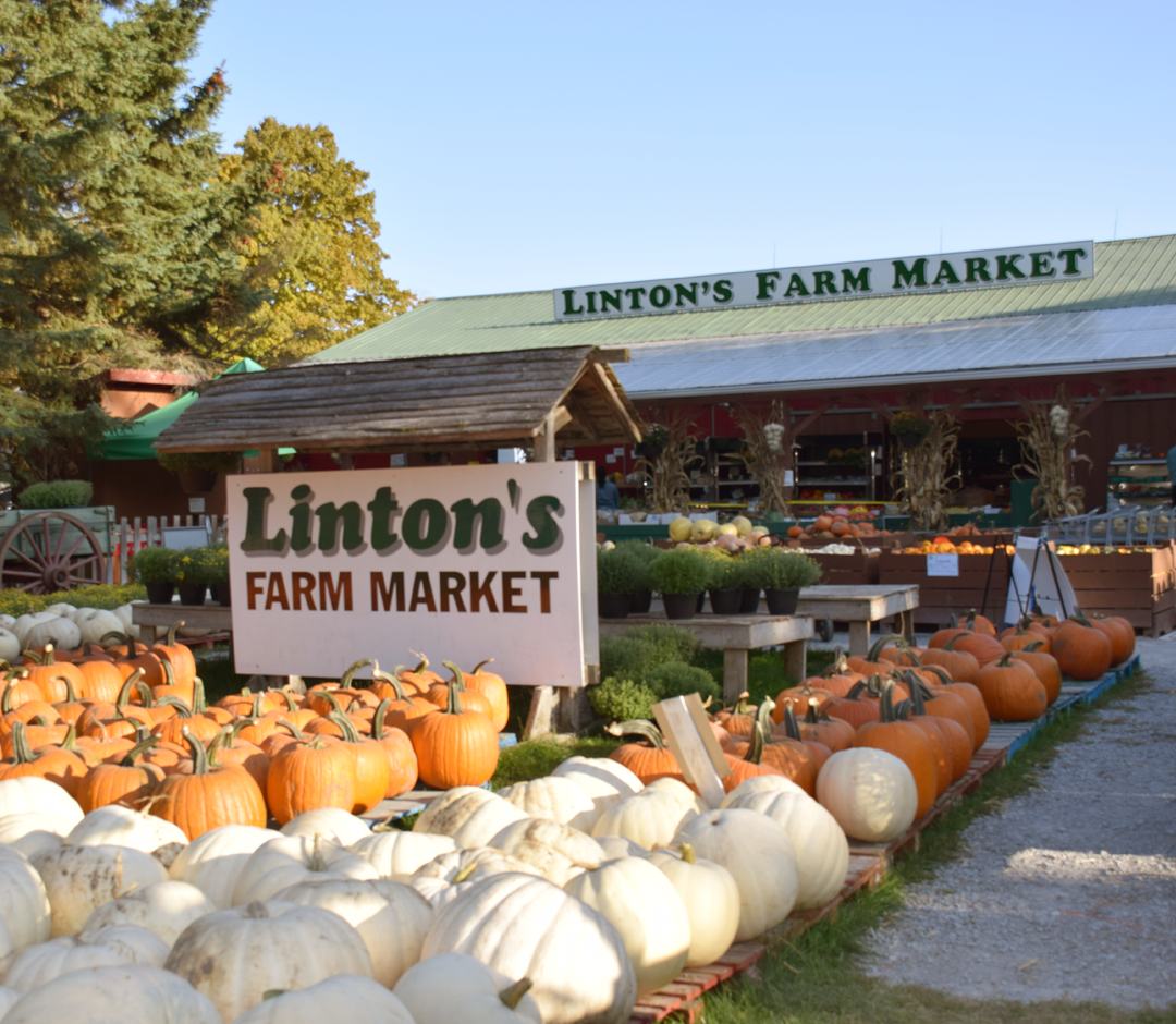 GH Neighbourhood Horizontal Slider 03