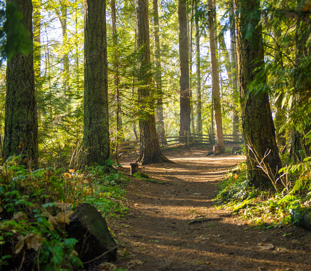 A&P Neighbourhood Horizontal Slider 1 v2