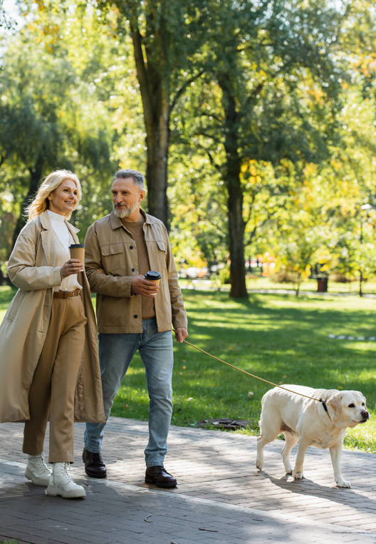 A&P overview neighbourhood