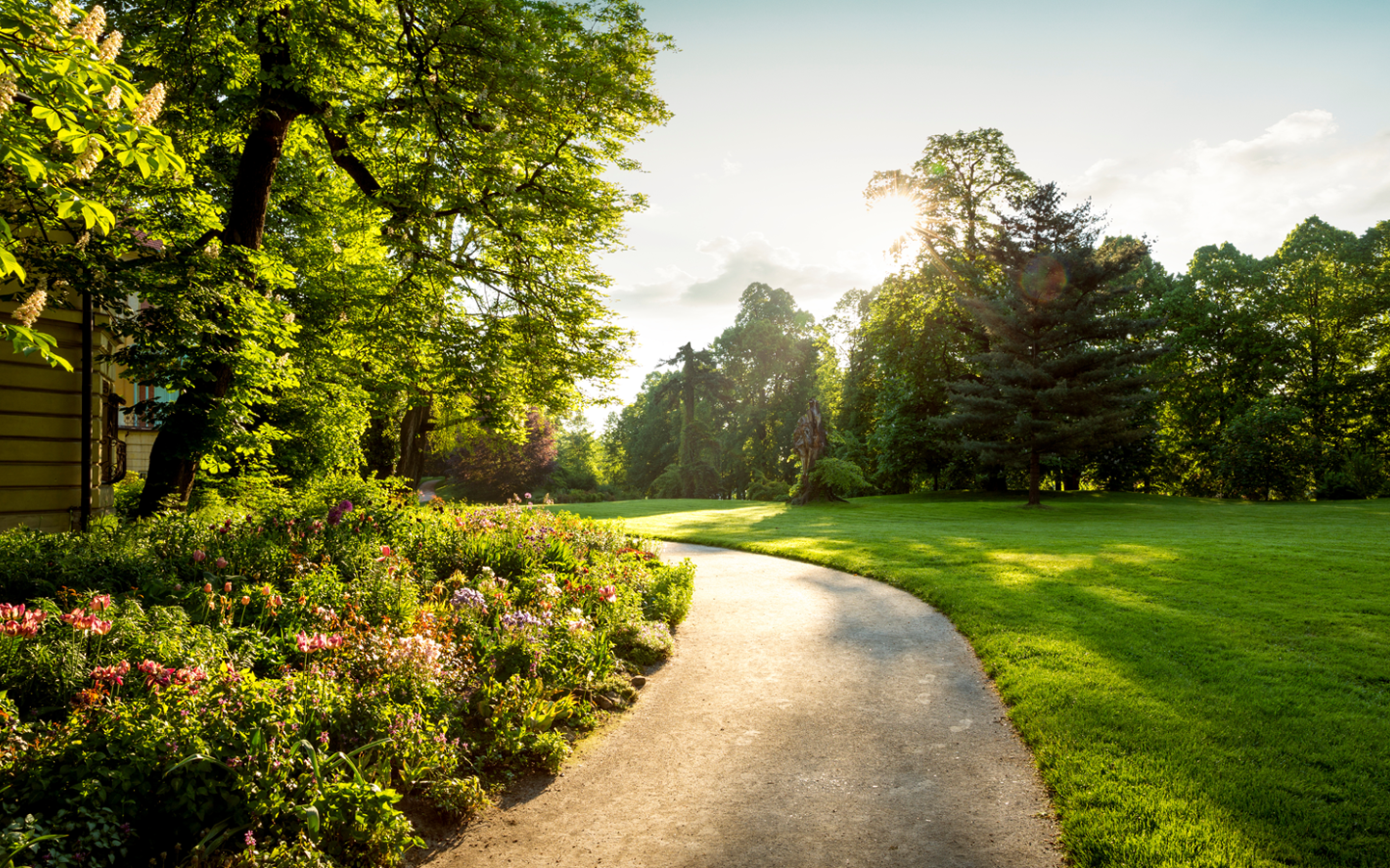 Linea Neighbourhood Banner 01